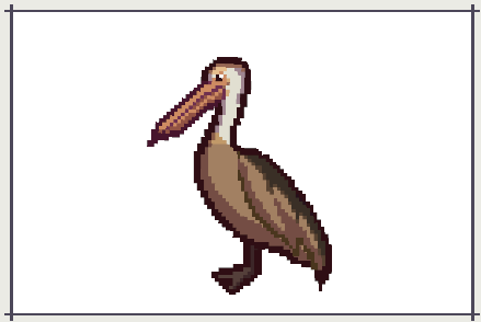 Brown Pelican, a customer in Scale the Depths Huatulco — favorite fish Cortez Sea Chub.