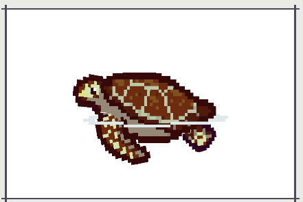 Hawksbill Sea Turtle, a customer in Scale the Depths Point Nemo — favorite fish Northern Anchovy.